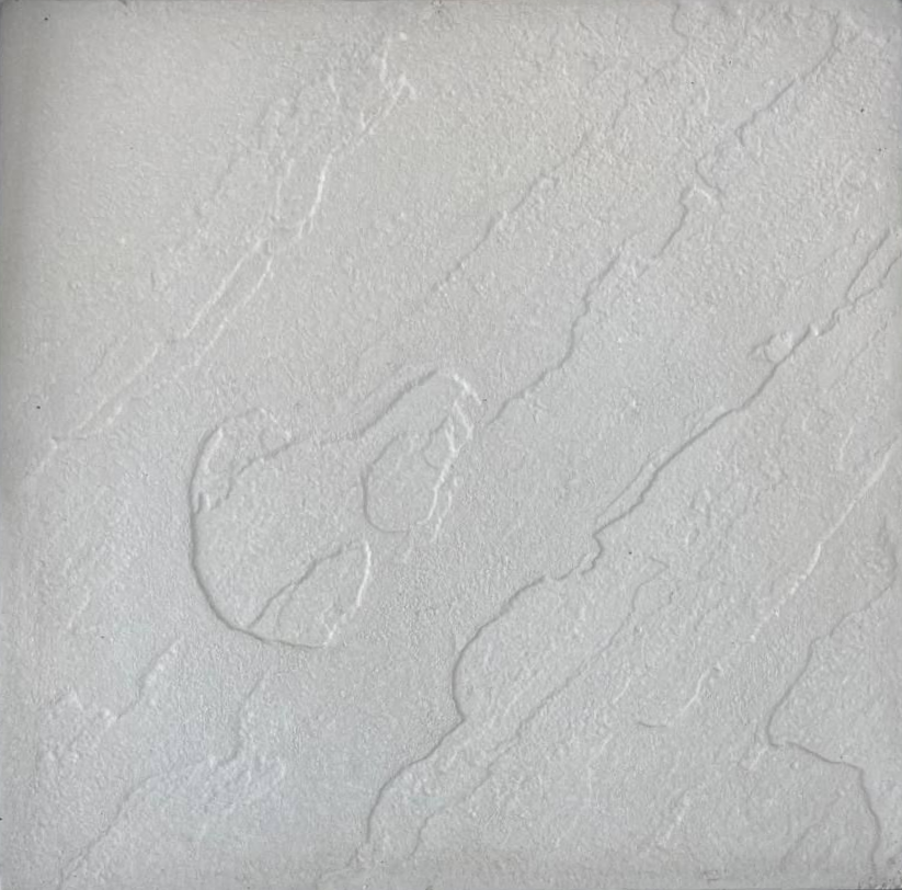 عکس کاشی شماره ی 1-5-0